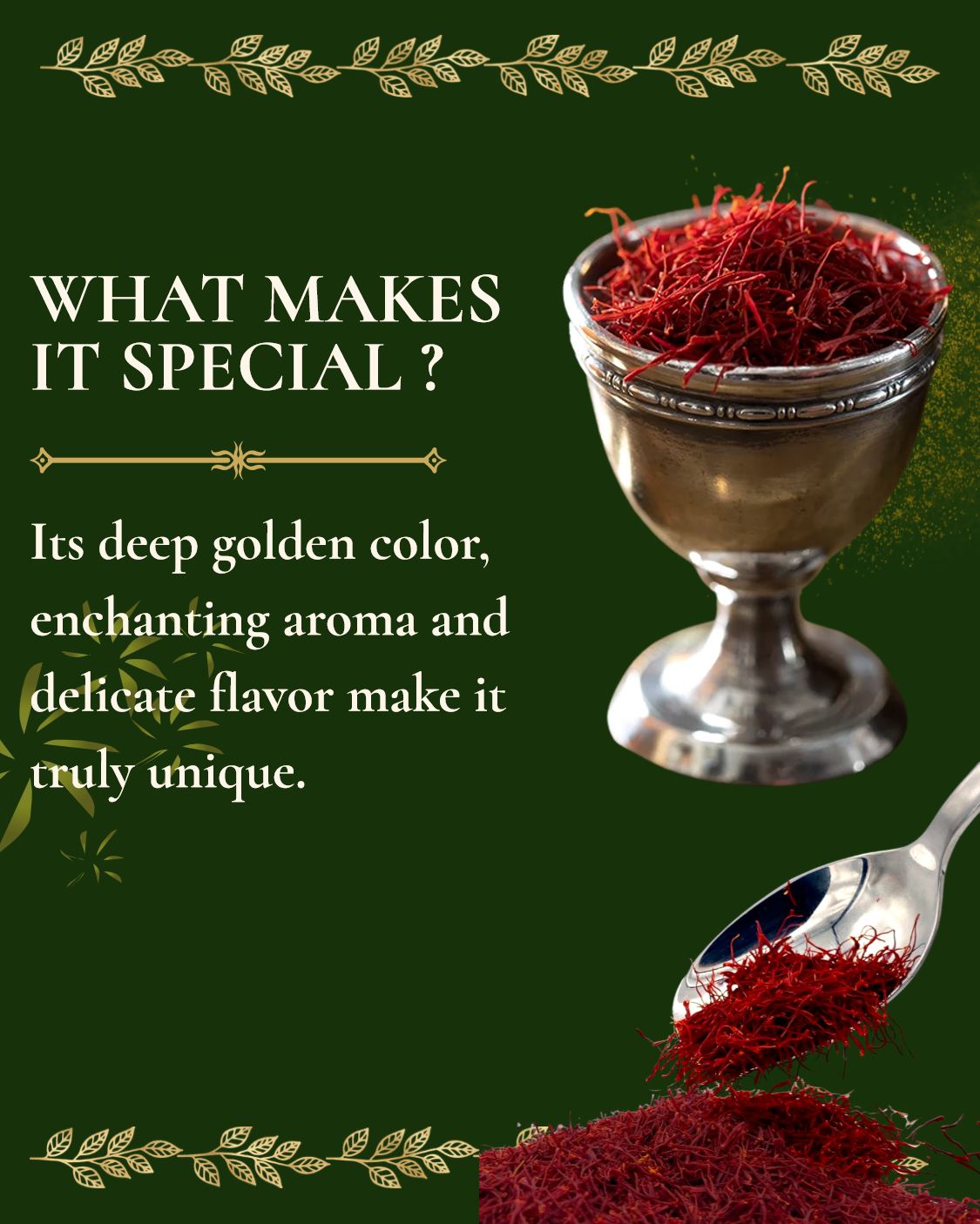 What makes saffron precious: 150k flowers per kilo
